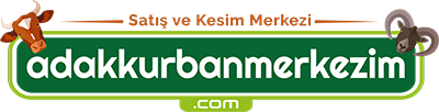 Adakçı Nayim