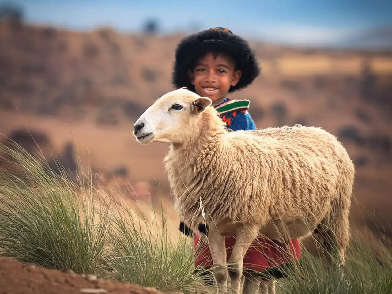 Afrika Kurban Satışı