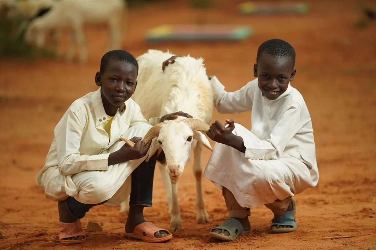 Afrika Kurban Satışı